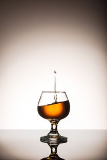 從土地到餐桌 農業循環中的食物、營養與酒精飲料