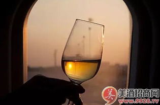 中國酒精飲料進(jìn)口市場 繁榮景象背后的消費(fèi)升級與多元選擇