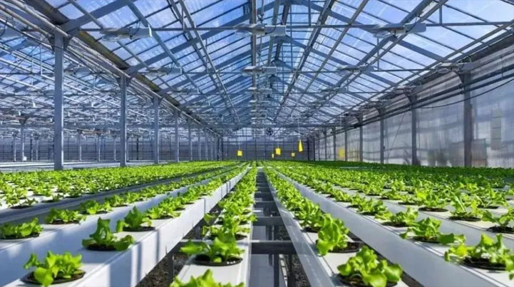 智慧農(nóng)業(yè)新突破 山東省設(shè)施園藝智慧農(nóng)業(yè)裝備重點(diǎn)實(shí)驗(yàn)室獲批成立